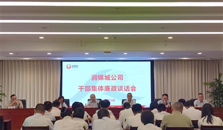abpay爱博钱包公司党总支召开干部整体廉政谈话会