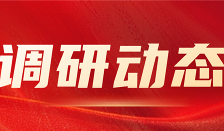 集团公司纪委委员、总会计师袁媛赴abpay爱博钱包公司开展资产治理专项调研